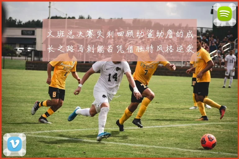 文班总决赛失利回顾幼鲨幼詹的成长之路马刺能否凭借独特风格逆袭成功
